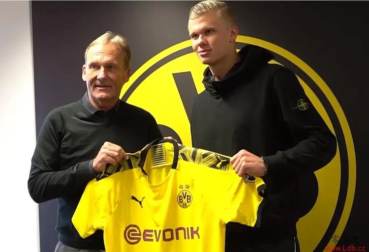 篮球NBA球队教练谈轮换策略